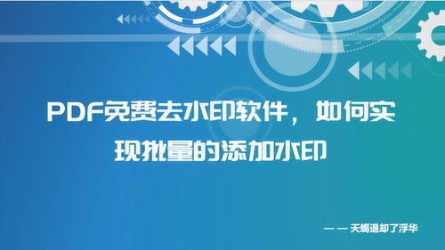 PDF水印免費去除軟件、批量添加水印方法及化妝品行業PDF水印制作教程